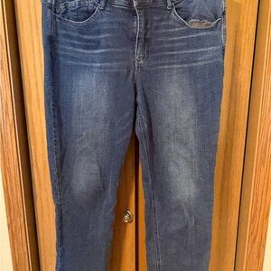 Wit & Wisdom Blue Boyfriend Jeans